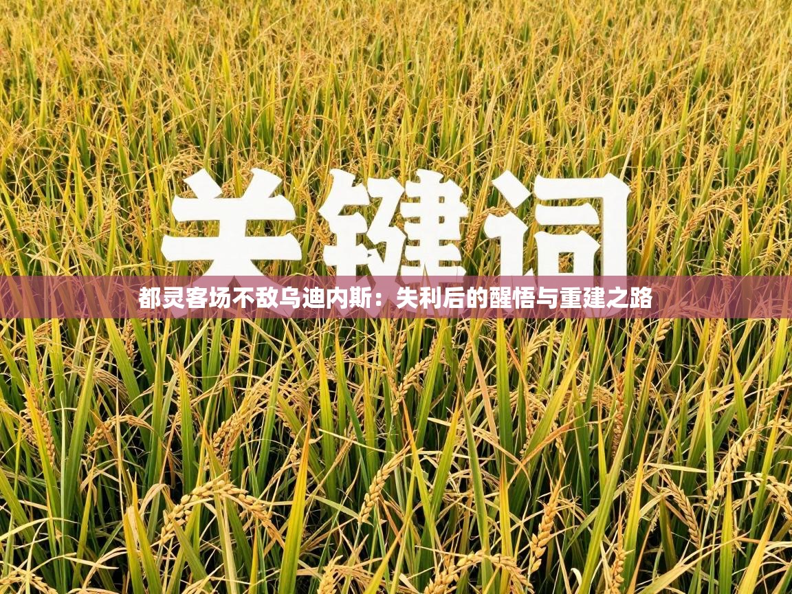 都灵客场不敌乌迪内斯:失利后的醒悟与重建之路 第2张